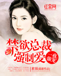 一夜强宠:禁欲总裁强制爱