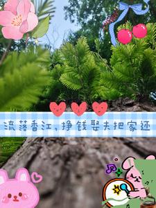 重回七零带着空间去香江